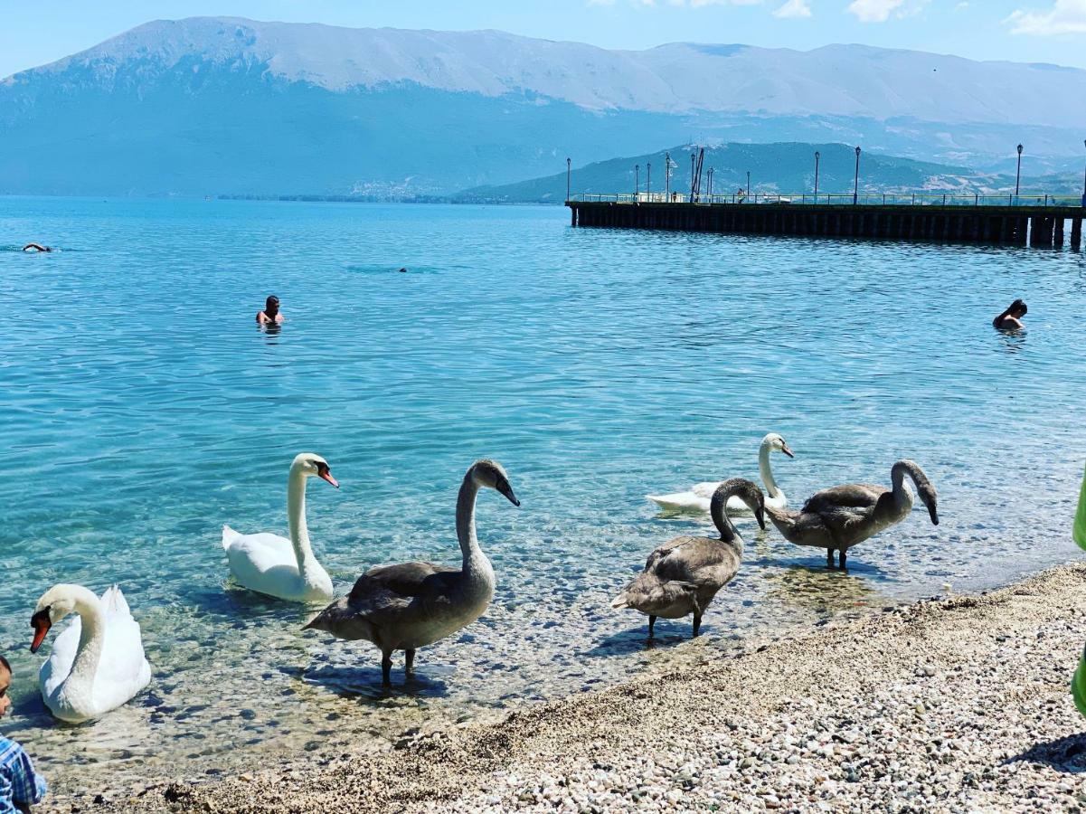 Syzo Apartments Pogradec Kültér fotó